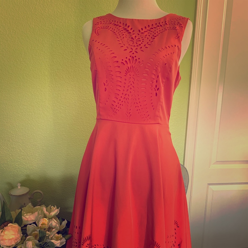 Classy Clover Canyon Laser Aline Dress size S